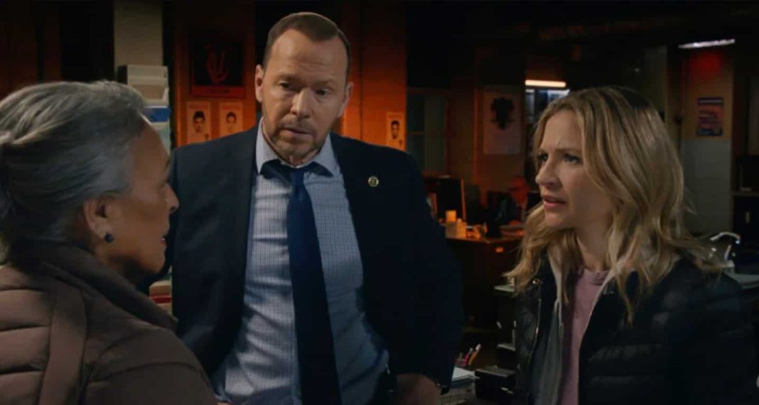 Blue Bloods Season 14 Episode 11 Recap