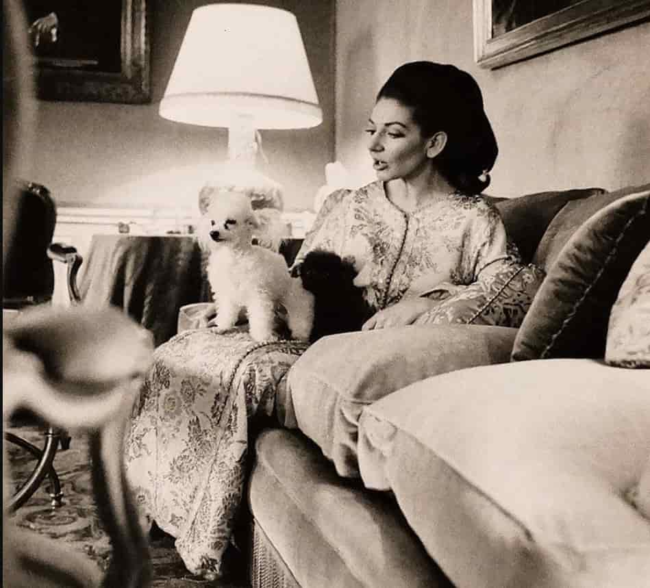 Maria Callas and her dogs at paris appartment