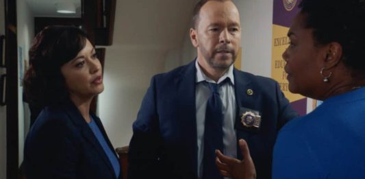 blue-bloods-season-14-episode-17 (1)