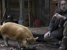 Is Pig Based On A True Story-
