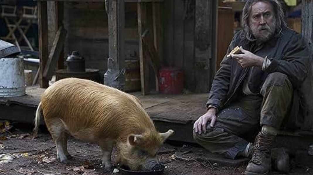 Is Pig Based On A True Story-